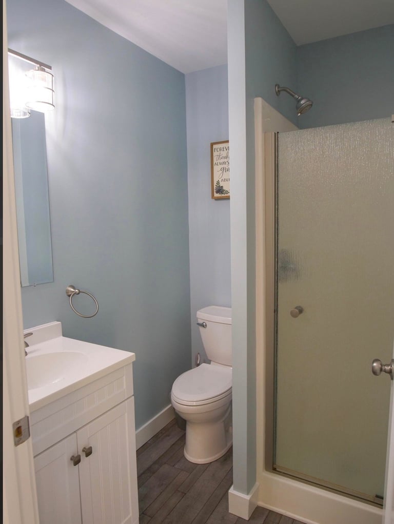 Modern bathroom with blue-green walls, white vanity with sink, toilet, and shower enclosure with glass door