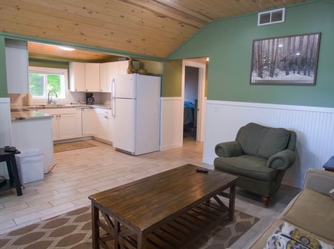 Open-concept cabin interior with sage green walls, wood ceiling, kitchen area with white appliances, and living room with green armchair and wooden coffee table