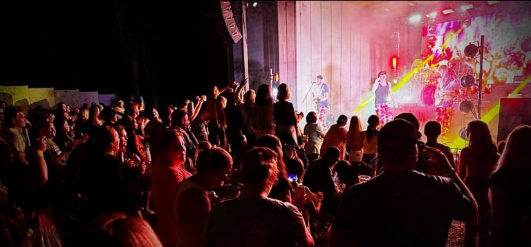 Large crowd of people dancing and celebrating at a concert with colorful stage lighting and projection effects